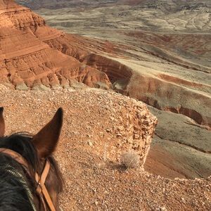 Meet your Posher, Nina